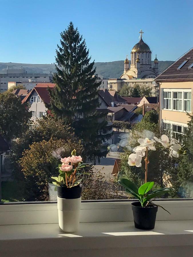 Davcom Studio Făgăraş Eksteriør bilde